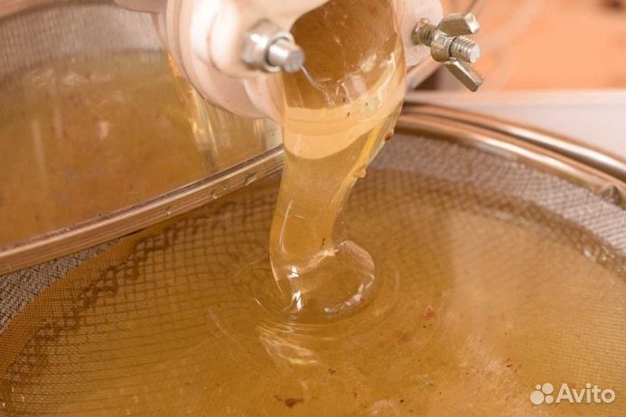 Мед натуральный алтайский опт минимально 16 кг