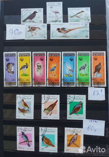 Почтовые марки.Фауна 1