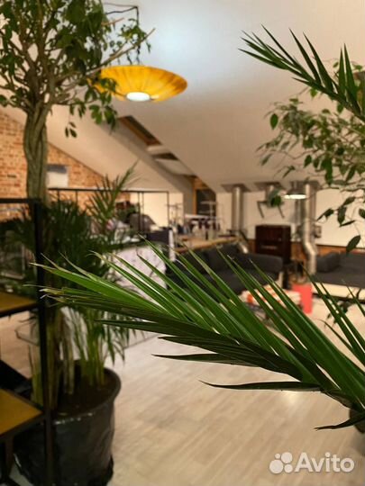 Дизайн и разработка лекал для одежды