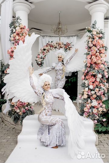 Шоу-балет Стихия