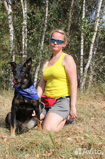 Трогательная и красивая Душа живет в приюте