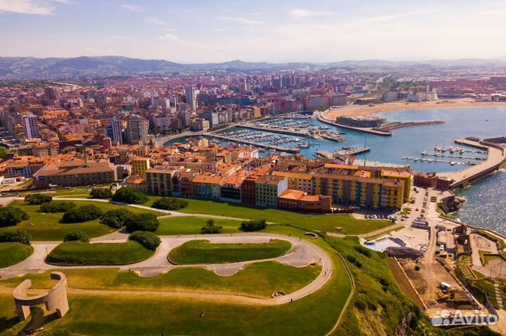 Услуги в Испании (представитель, координатор)