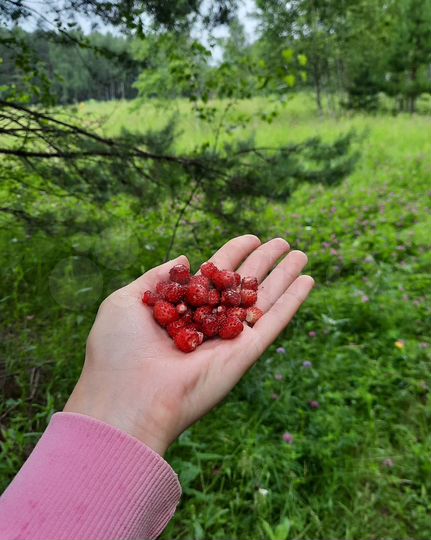 Дача 37,5 м² на участке 6,6 сот.