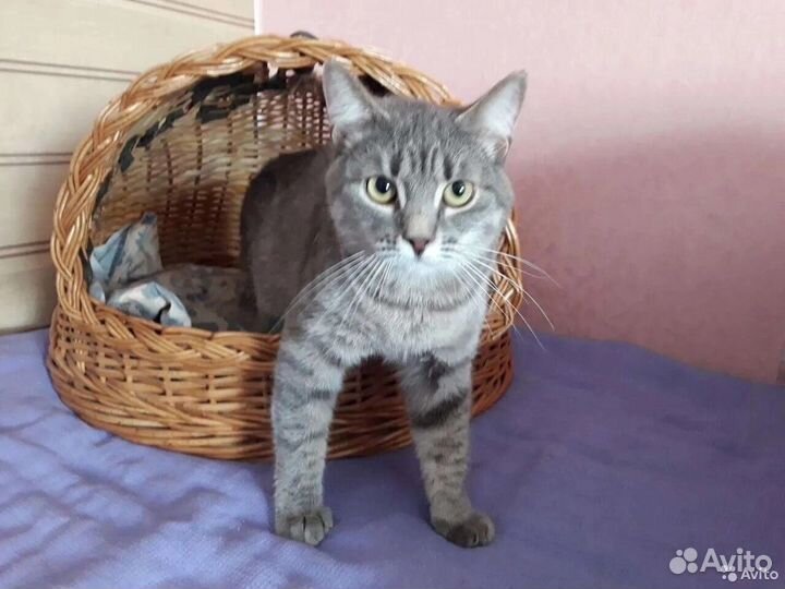 Мега ласковая Лиза