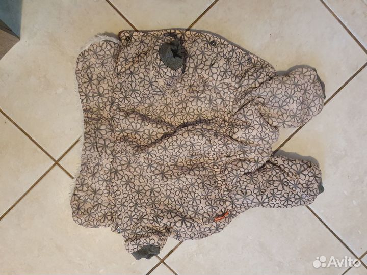 Осенний комбинезон для собаки