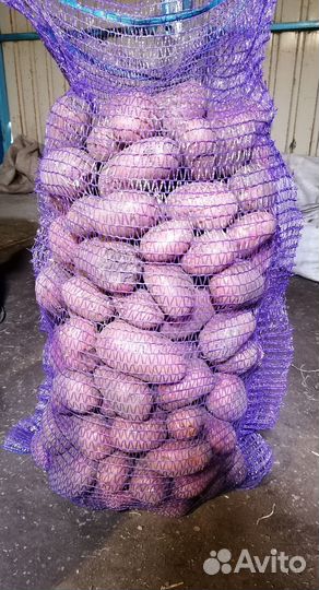 Продаём вкусный картофель с доставкой