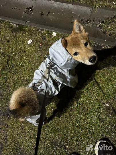 Дождевик комбинезон для собаки