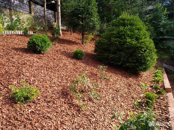 Мульча из коры лиственницы и сосны