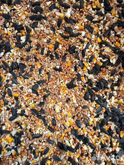 Зерносмесь