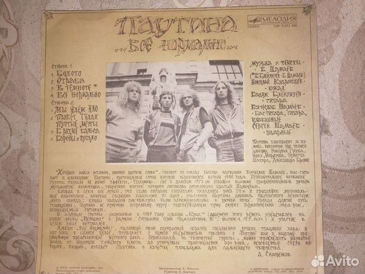 Виниловая пластинка 