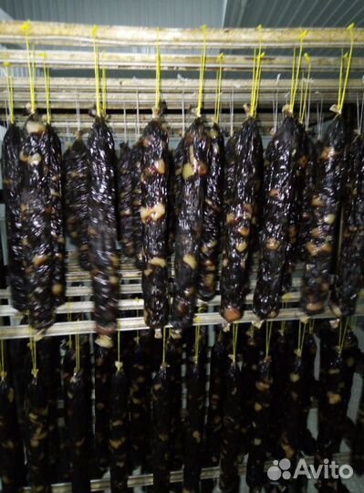 Казы Халяль