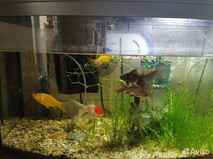 Аквариумный комплекс Tetra 