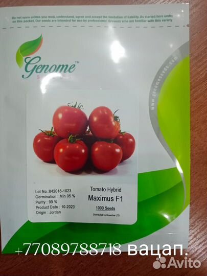 Продаем семена томатов