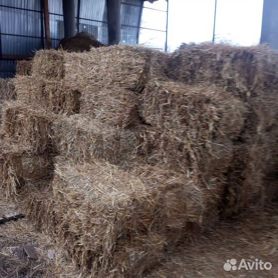 Сенцо для вашего хозяйства