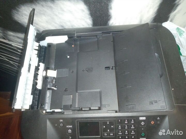 Принтер canon