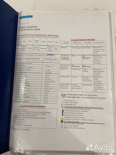 Биология (зоология) подготовка к егэ