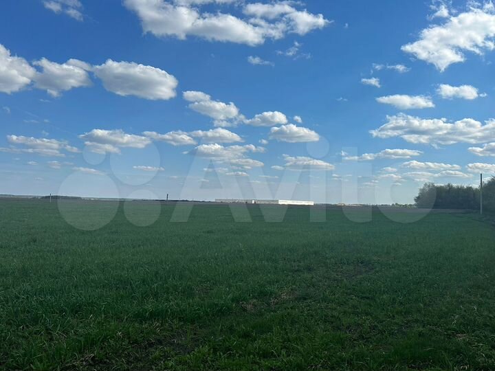 Участок 1,45 га (СНТ, ДНП)