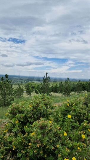 Участок 10 сот. (СНТ, ДНП)