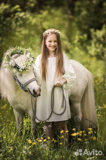 Прокат пони