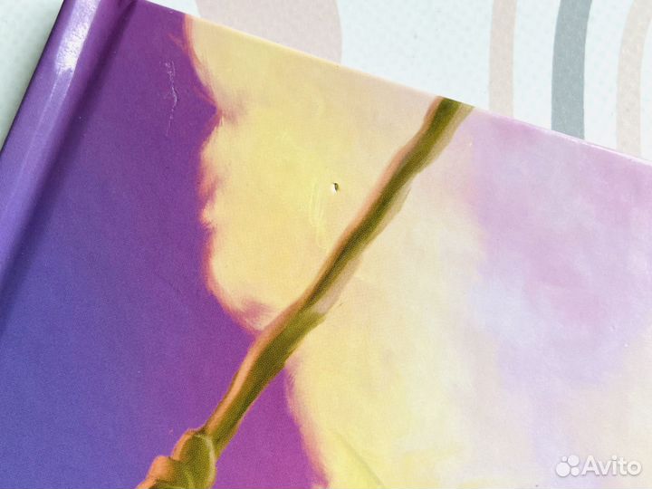 Дисней, Эгмонт. Феи. Потерянное сокровище, 2010г