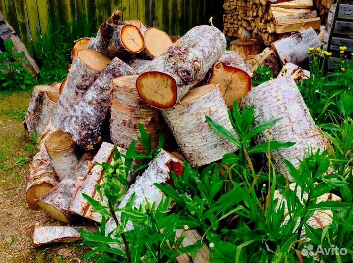 Дрова точного размера