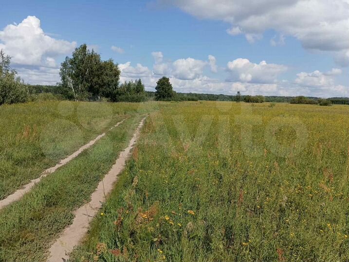 Участок 2,4 га (СНТ, ДНП)