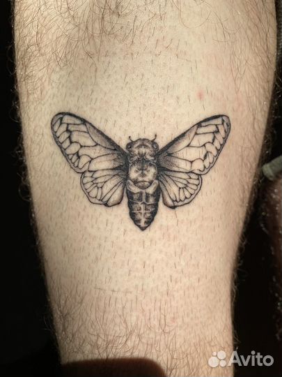 Тату. Татуировка в салоне