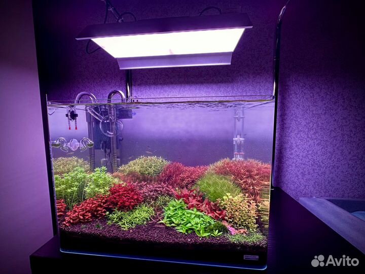 Аквариум в комплекте