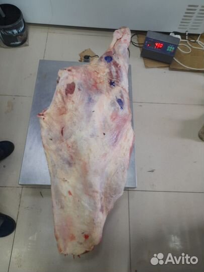 Задняя часть, задок, телятина, говядина