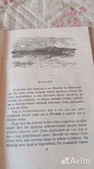 Скребицкий Г. В лесу и на речке 1952 г