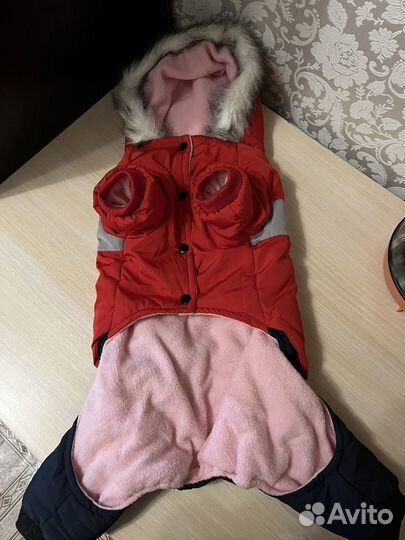 Собачий комбинезон