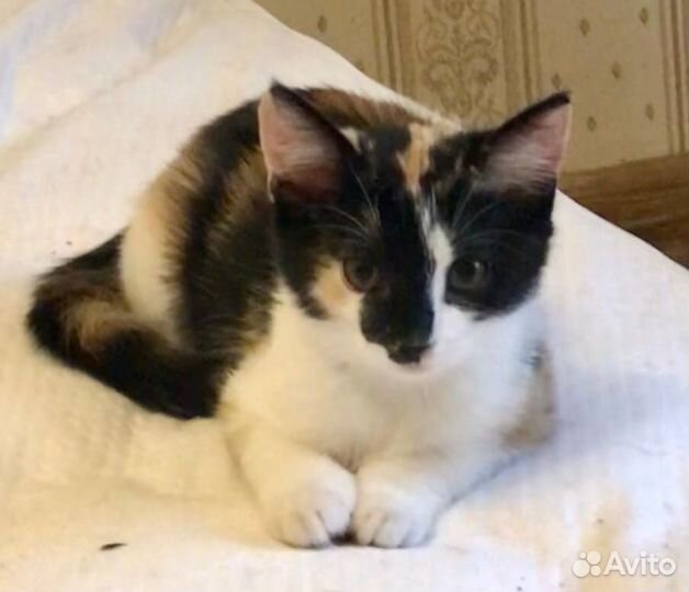 Девчушка хочет домой