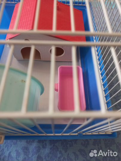 Клетка для грызунов