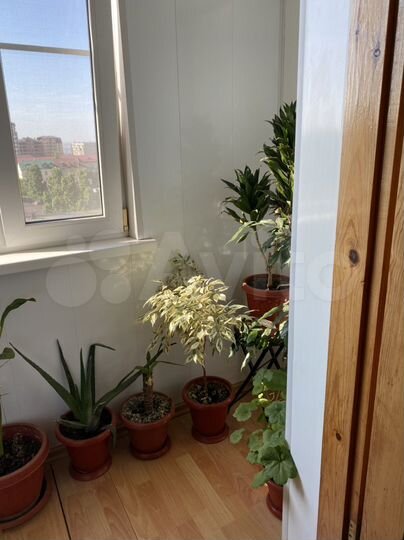 4-к. квартира, 64,7 м², 8/9 эт.