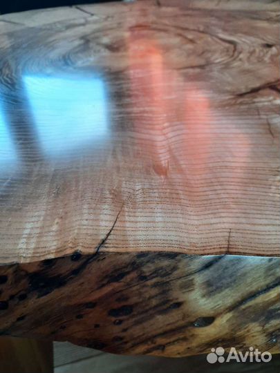 Поперечные спилы ясеня и дуба