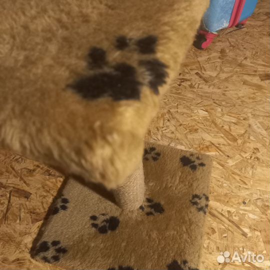 Когтеточка домик для кошки бу