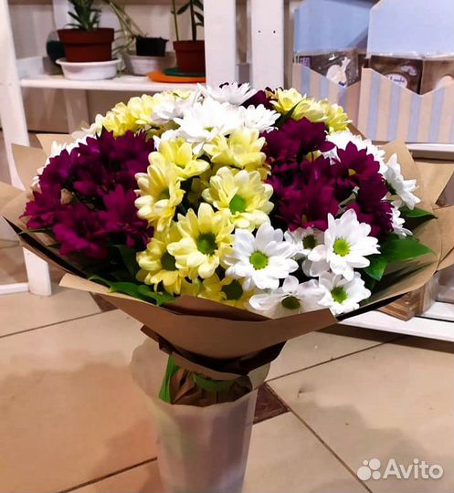 Розы 101 51 Цветы Доставка Цветов Круглосуточно