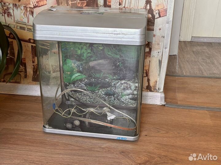 Аквариум для рыбок бу
