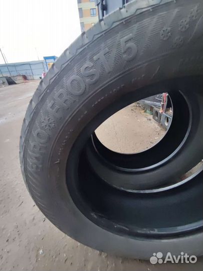 Gislaved Euro Frost 5 215/60 R16