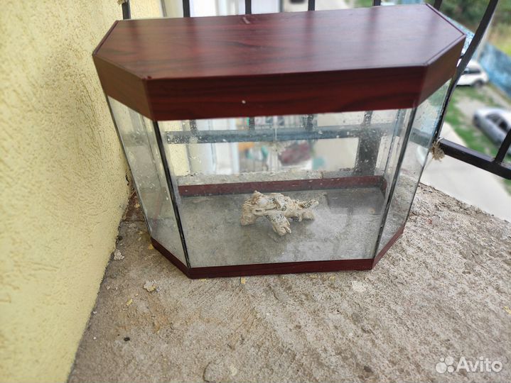 Аквариум для рыбок