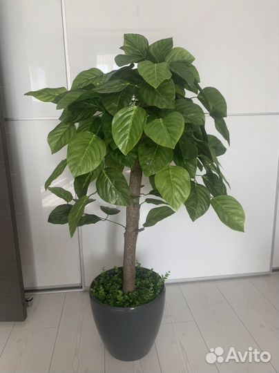 Искусственное дерево в горшке