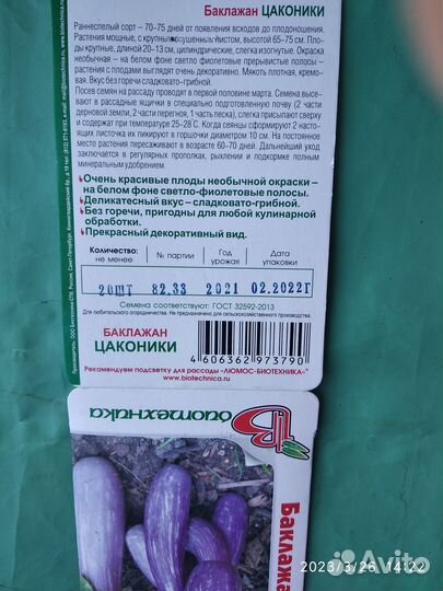 Рассада перца,баклажан,мангольд