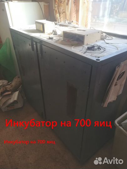Инкубатор 700 яиц, выводной шкаф и брудеры