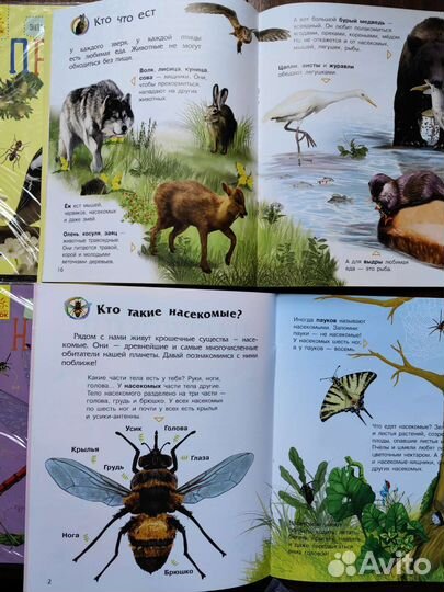 Книги детские новые энциклопедии азбука с окошками