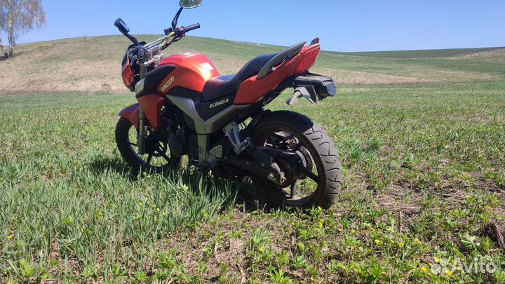 Рейсер Файтер