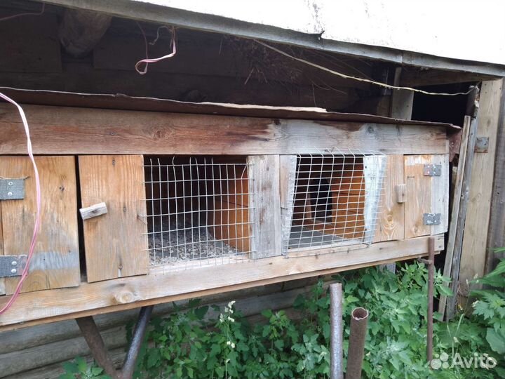 Клетки для кроликов бу
