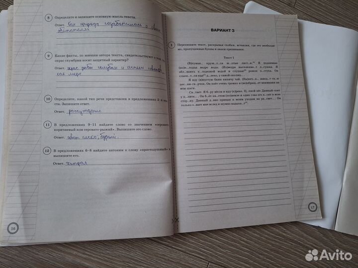 ВПР 5 класс русский язык+ Практикум по орфографии