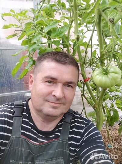 Ремонт посудомоечных машин и стиральных машин