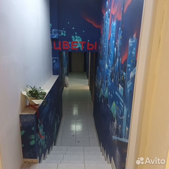 Цветочный магазин аренда