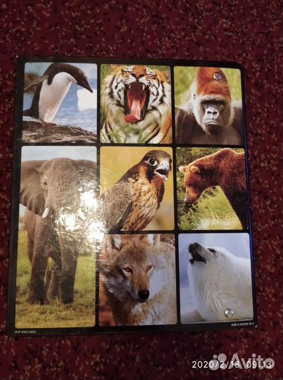 Сборник о живой природе